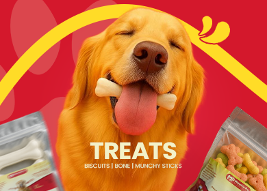Pet Treats