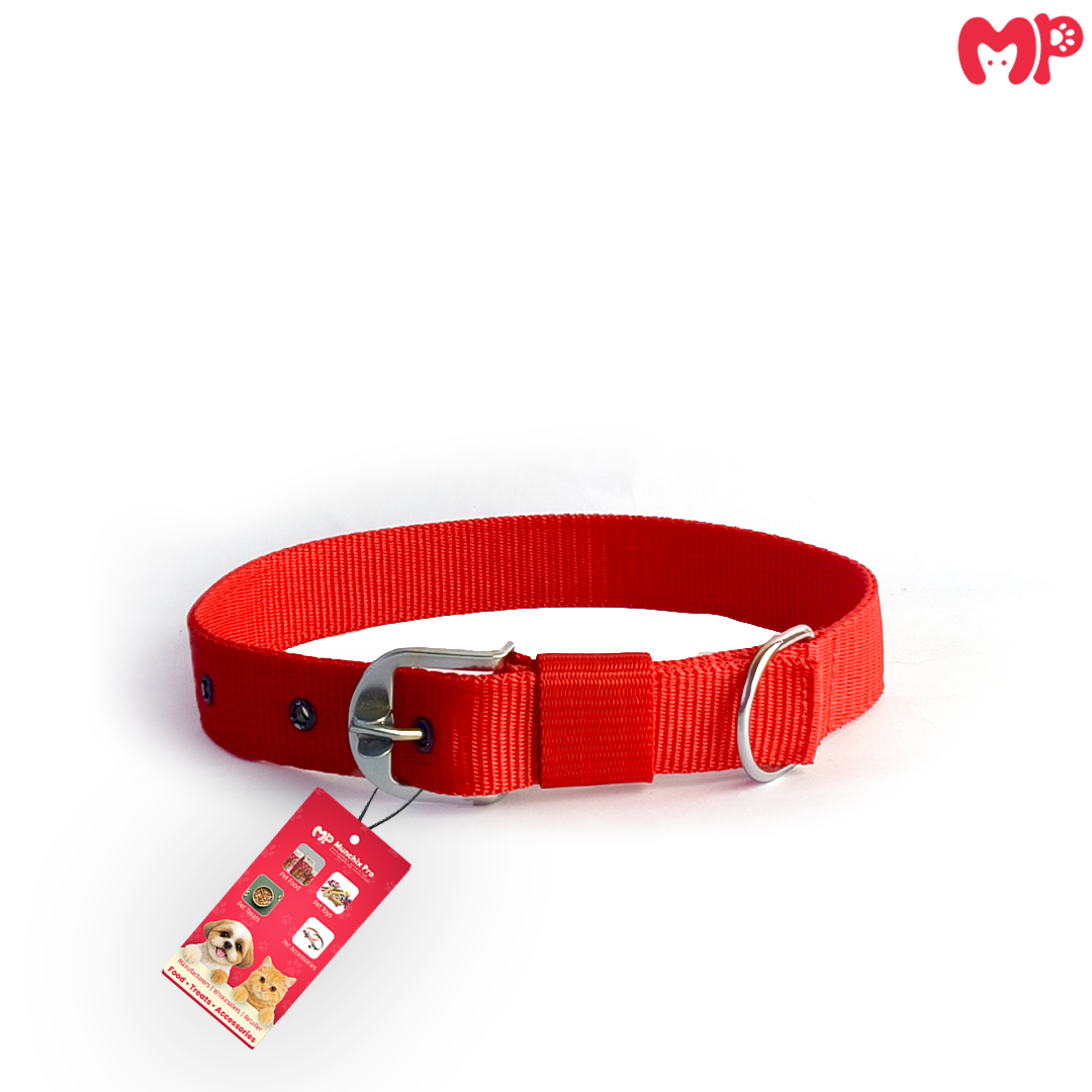 Dog PP Collar 1.25 Inch