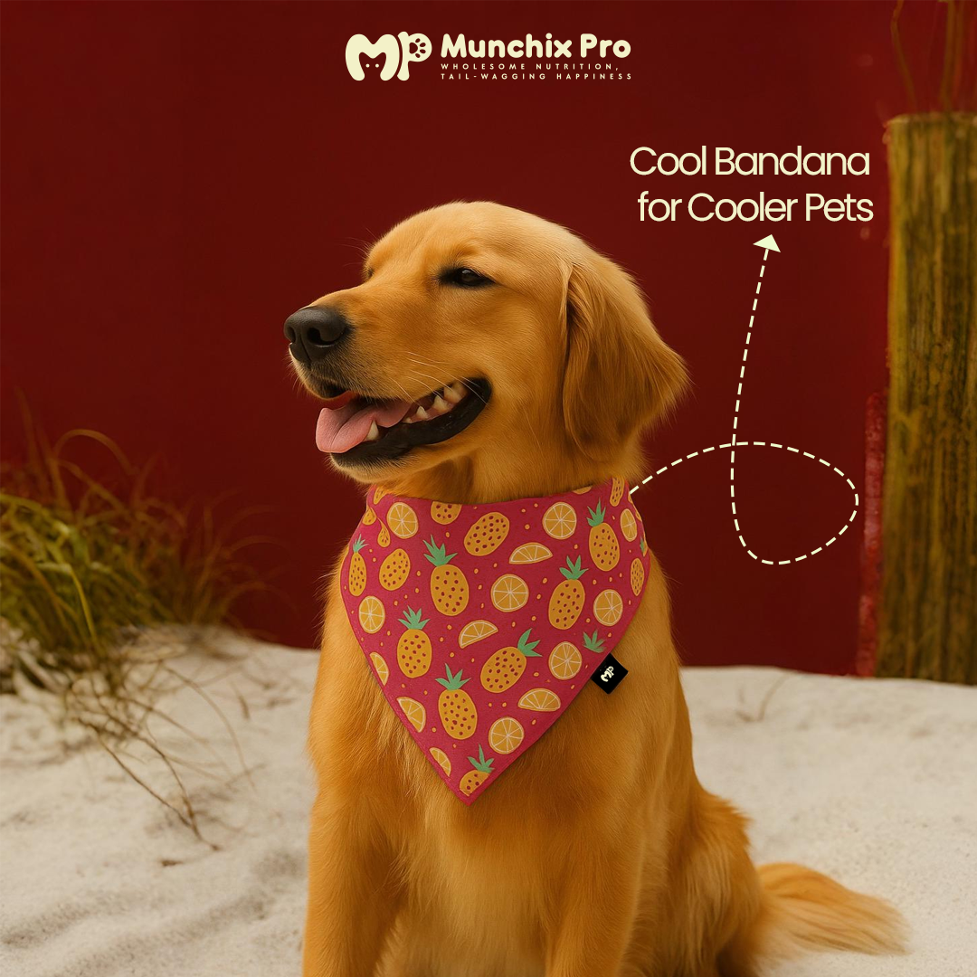 Cool Bandana For Dogs & Cats
