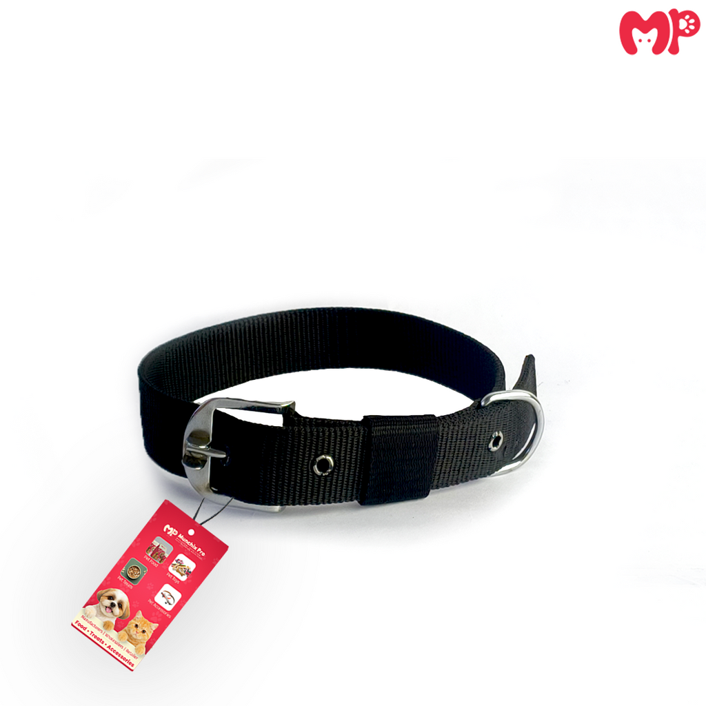 Dog PP Collar 1.25 Inch