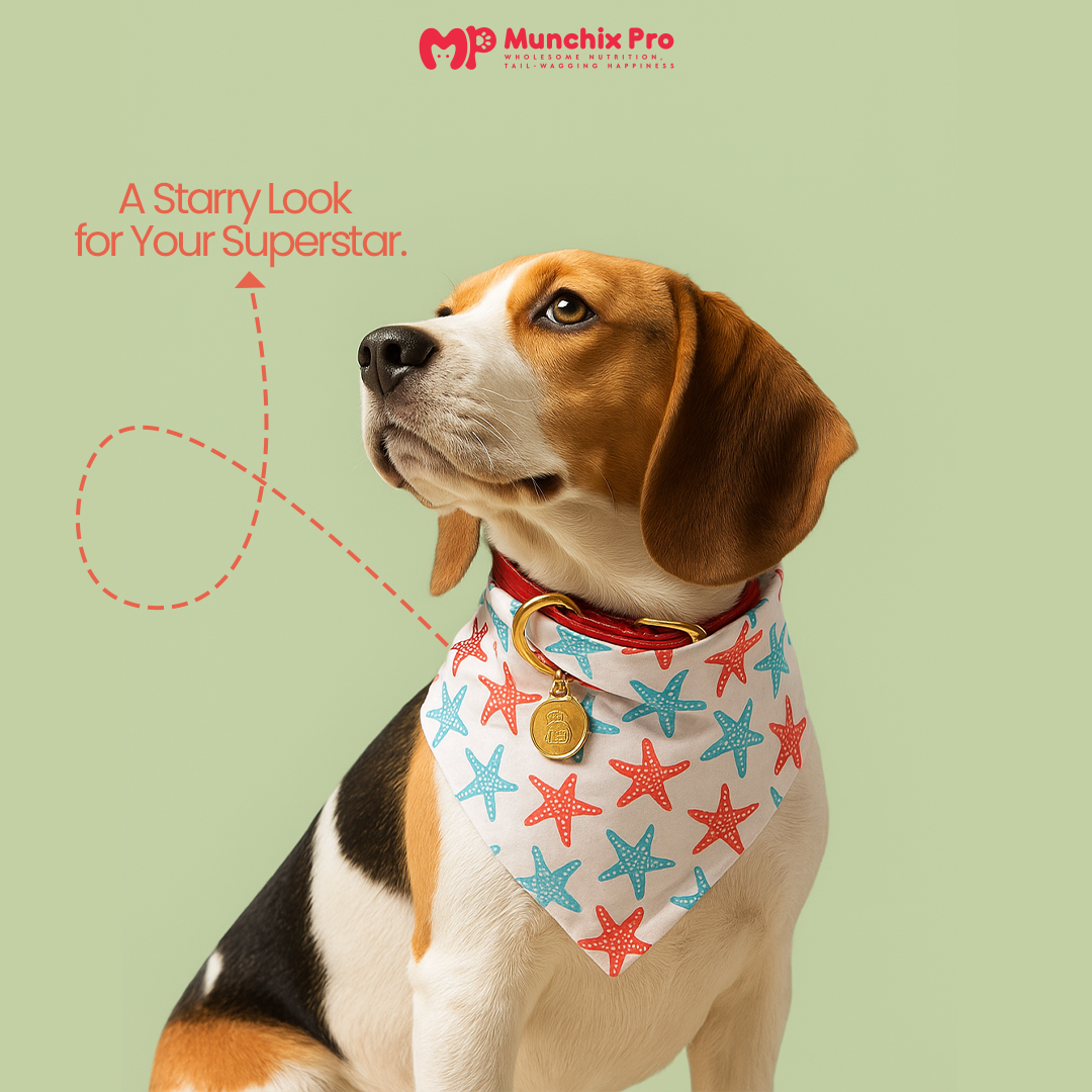 Cool Bandana For Dogs & Cats