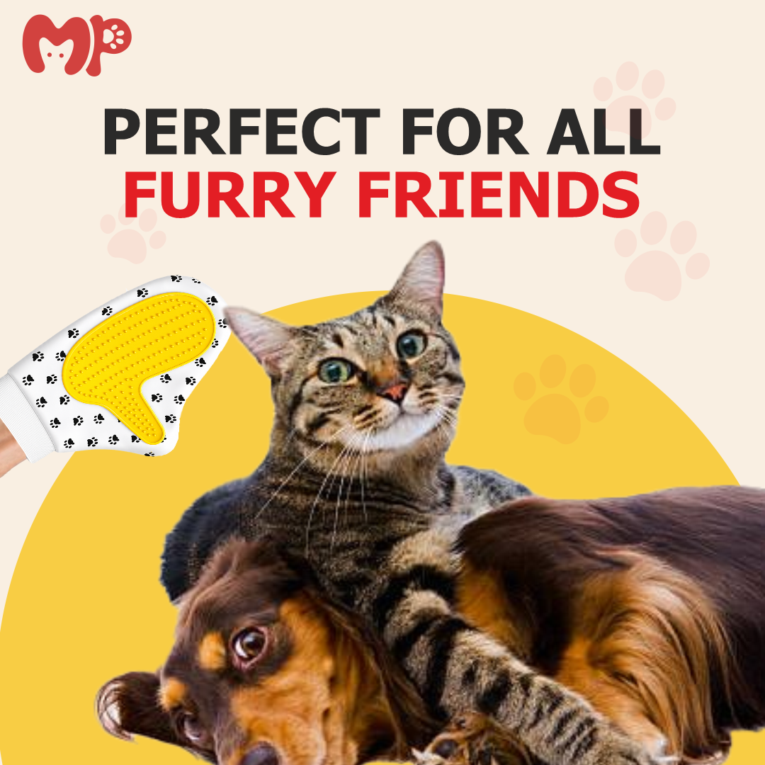 Premium Pet Grooming Glove with Silicone Bristles | for Dogs and Cats