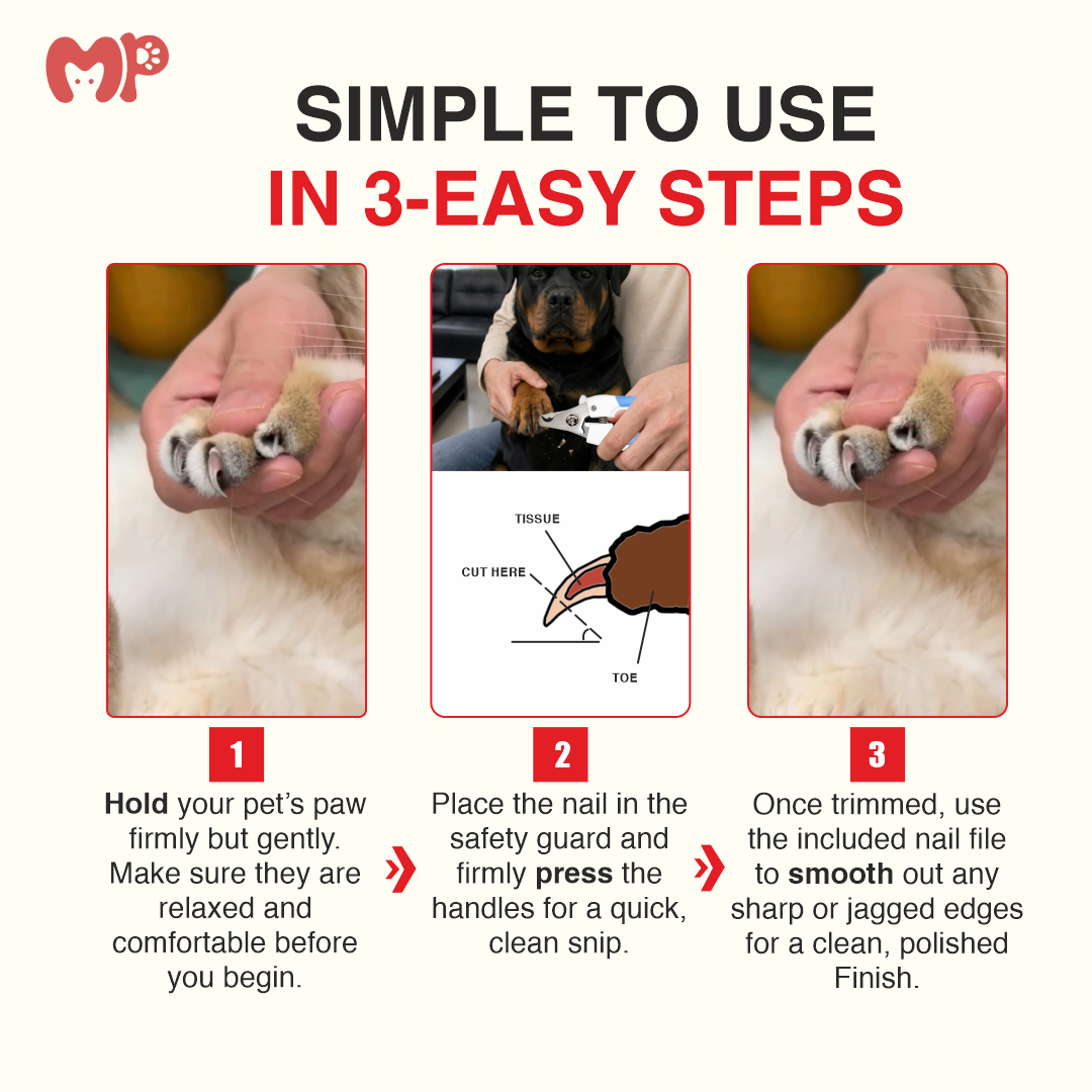 Pet Nail Clipper with Safety Guard | Anti-Slip Handle | Precision Guard | Safety Lock | Includes Nail File | Painless Sharp Claw Trimmer & Grooming Kit