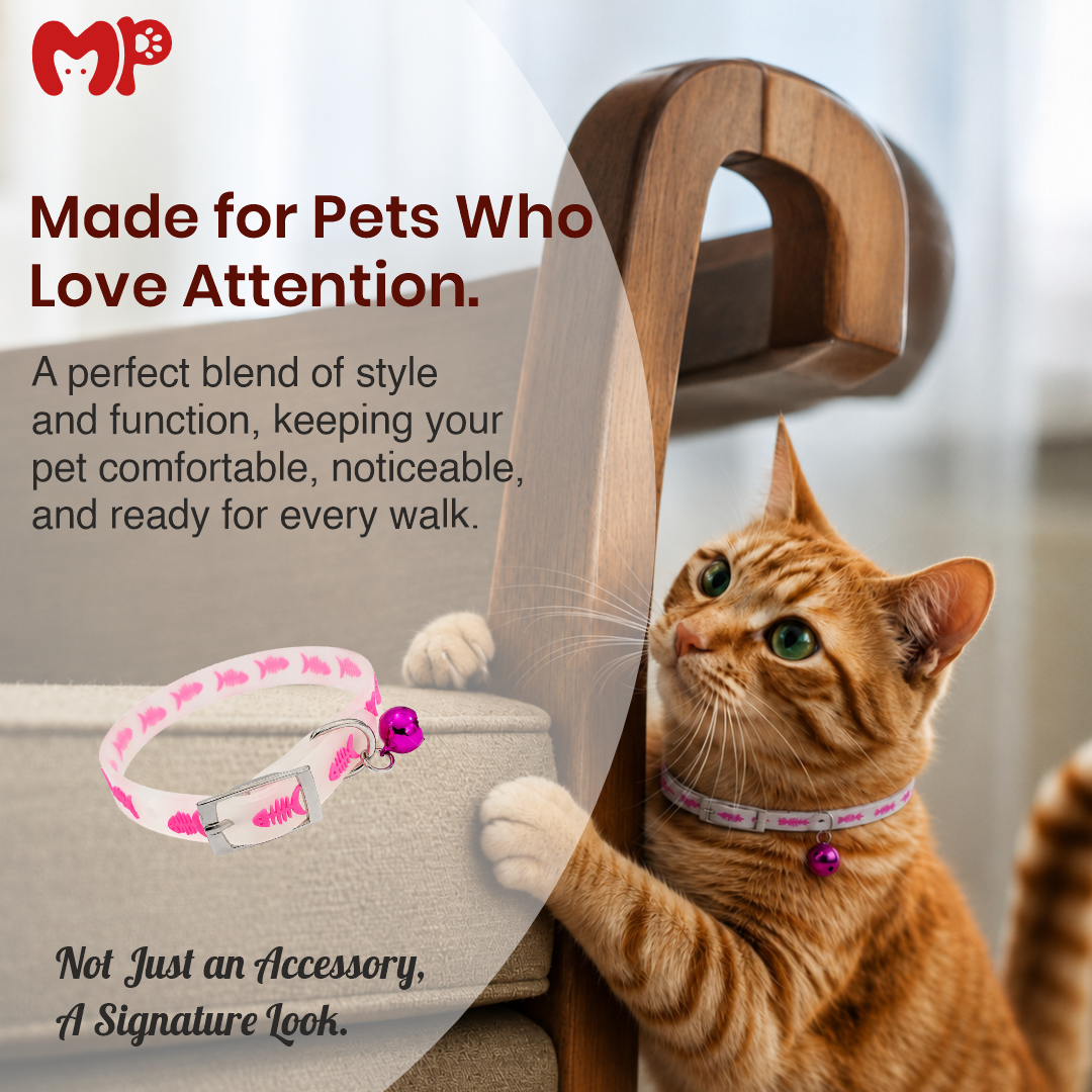 Reflective Silicone Cat Collar with Bell | Adjustable Glow Pet Collar for Cats, Kittens & Small Pets (Random Design)
