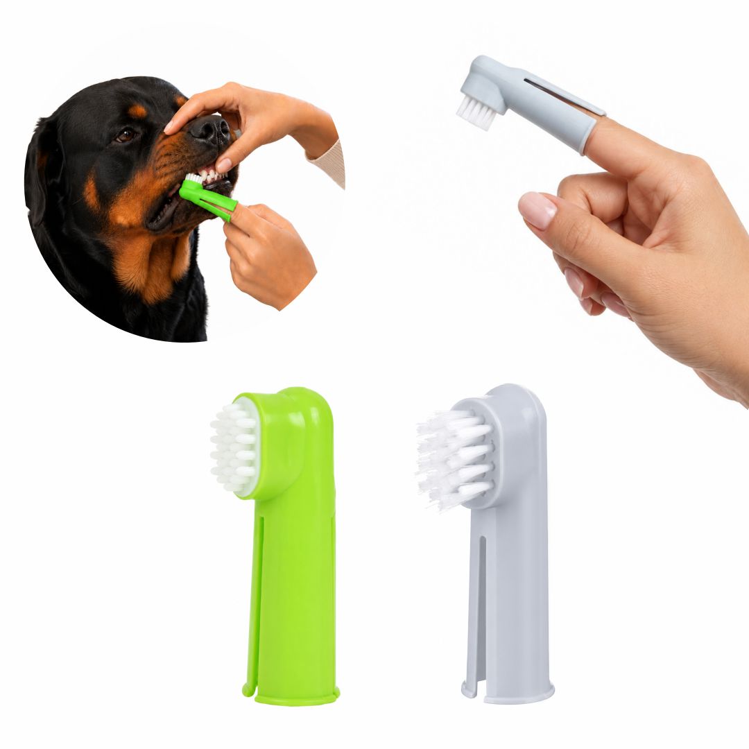 Premium Pet Finger Toothbrush Set for Dogs & Cats | Soft Bristle Dental Care & Gum Massage Brushes | Effective Plaque & Bad Breath Remover Kit