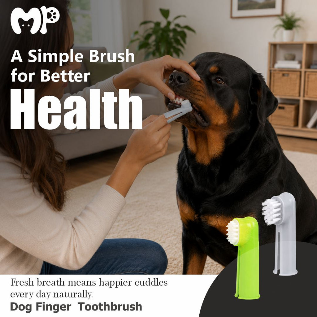 Premium Pet Finger Toothbrush Set for Dogs & Cats | Soft Bristle Dental Care & Gum Massage Brushes | Effective Plaque & Bad Breath Remover Kit