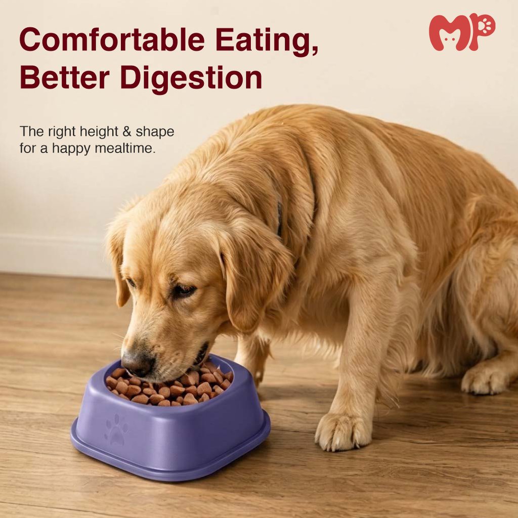 Plastic Square Pet Bowl | Lightweight | Safe and Non-Toxic | Easy to Clean | for Cats and Dogs (Small) | (Large)