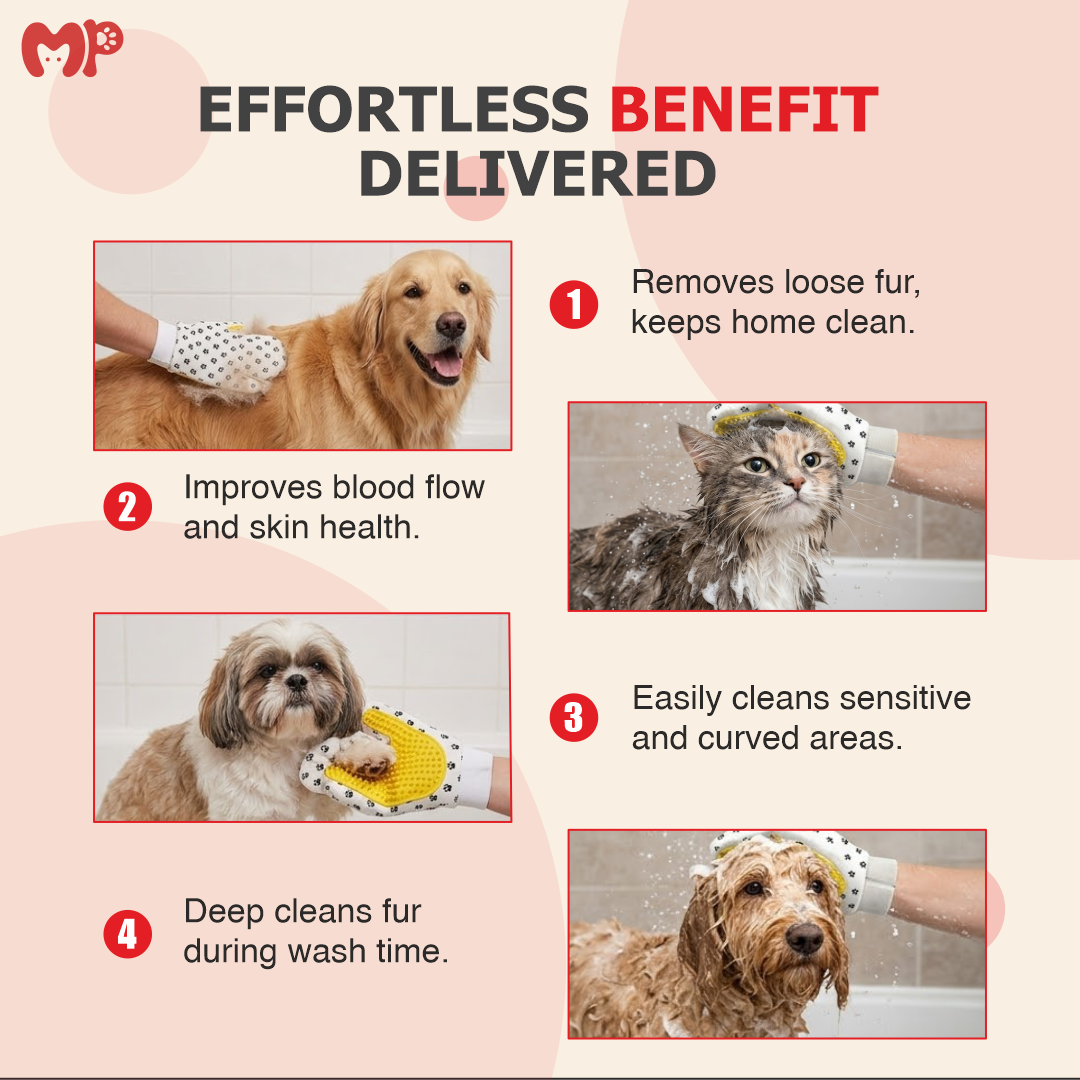Premium Pet Grooming Glove with Silicone Bristles | for Dogs and Cats