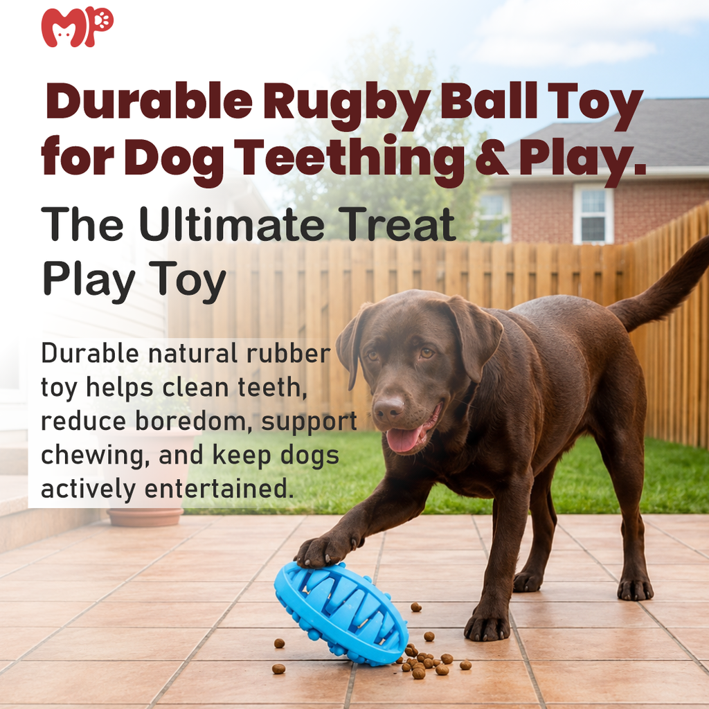 Premium Natural Rubber Rugby Dog Toy & Interactive Treat Dispenser | Durable Dental Chew Toy for Teething Puppies | Aggressive Chewers | Washable | Bite-Resistant Boredom Buster