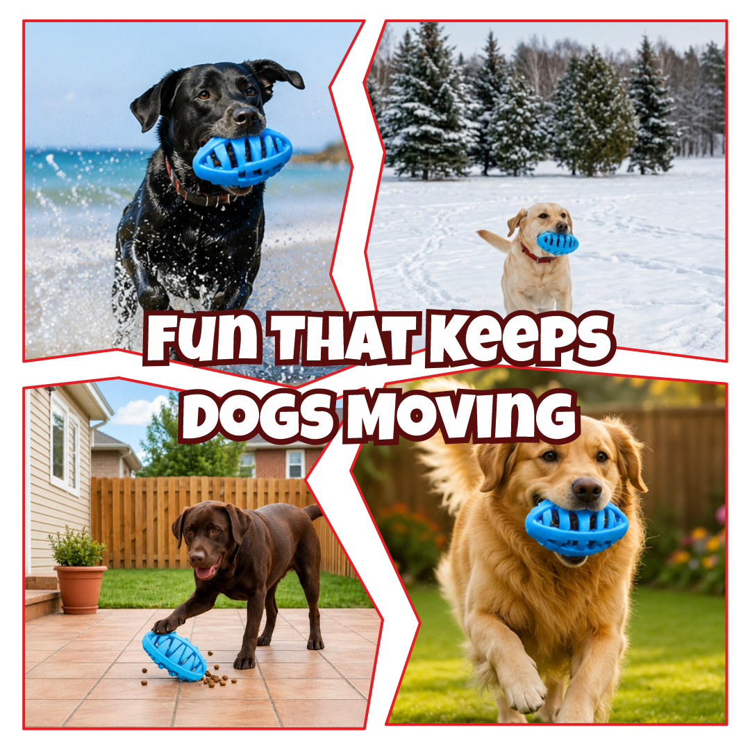 Premium Natural Rubber Rugby Dog Toy & Interactive Treat Dispenser | Durable Dental Chew Toy for Teething Puppies | Aggressive Chewers | Washable | Bite-Resistant Boredom Buster