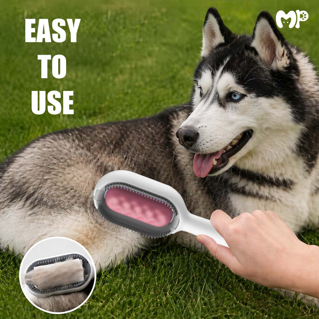 3-in-1 Multifunctional Pet Grooming and Cleaning Brush for Shedding Removal | Bathing | Massage – Gentle Silicone Bristles for Dogs and Cats | Easy-to-Use De-shedding Tool for Healthy Coat Care and Deep Cleaning