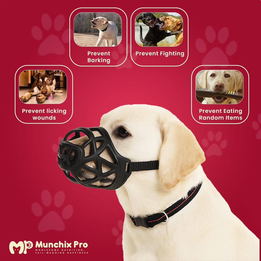 Muzzle For Dogs | Black Silicone | Anti Barking |Anti Chewing | Breathable
