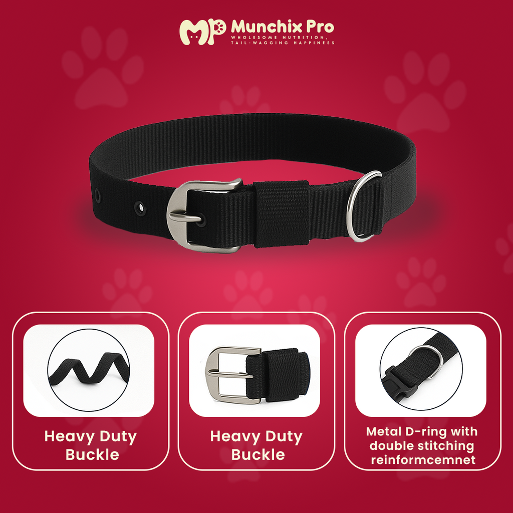 Dog PP Collar 1.25 Inch