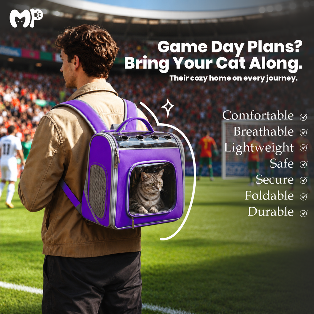 Premium Foldable Pet Carrier Backpack with Panoramic View Window | Dual-Comfort Travel Bag with Removable Soft Pad for Cats & Small Dogs