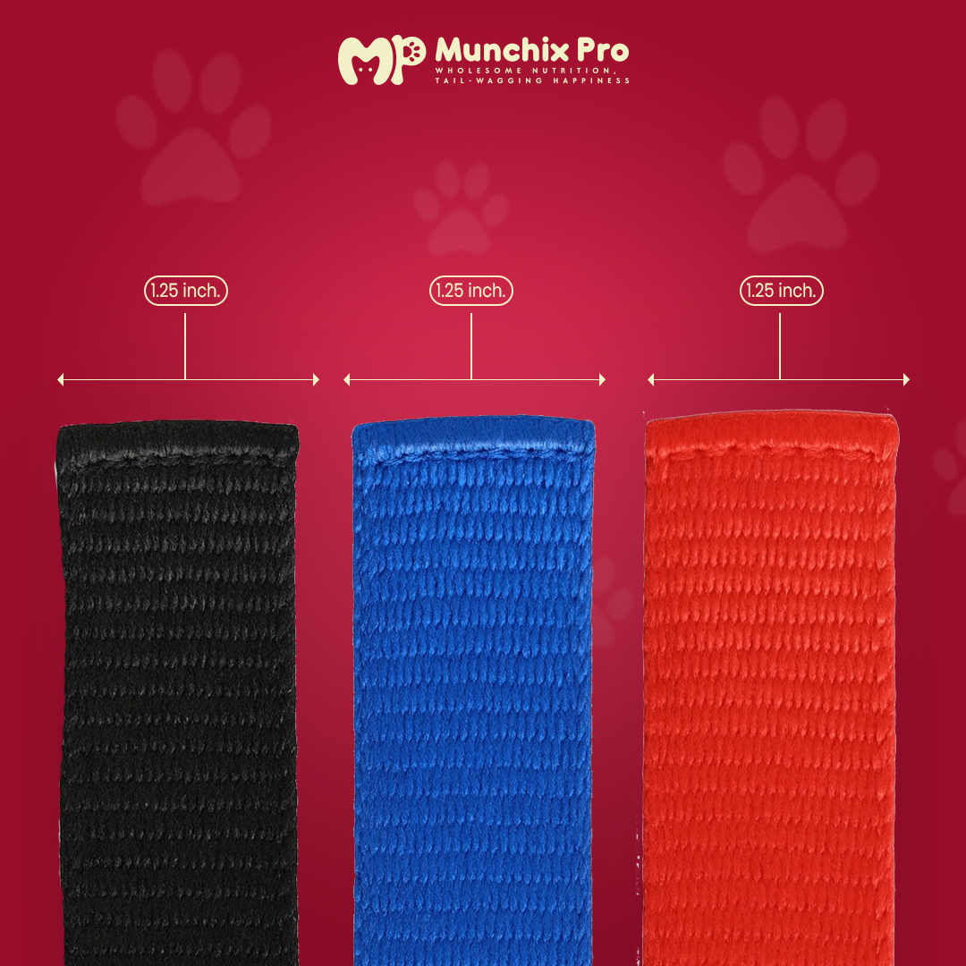 Dog PP Collar 1.25 Inch