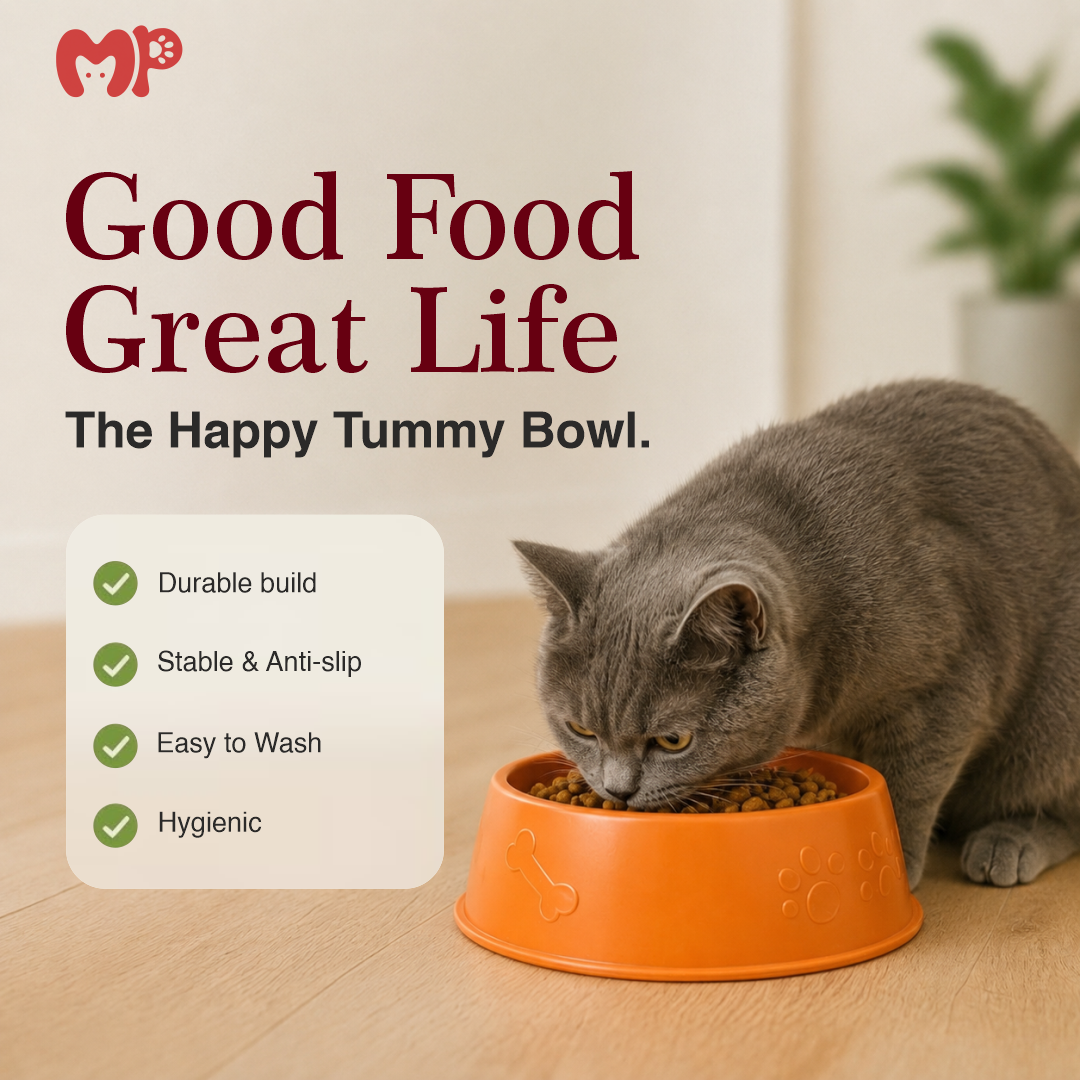 Premium Anti-Slip Durable Pet Food Bowl for Dogs and Cats | Easy-to-Wash Hygienic Plastic Feeding Dish | Tapered Stability Kibble & Water Basin for Puppies | Kittens | Small-to-Medium Pets (Small) | (Medium) | (Large)