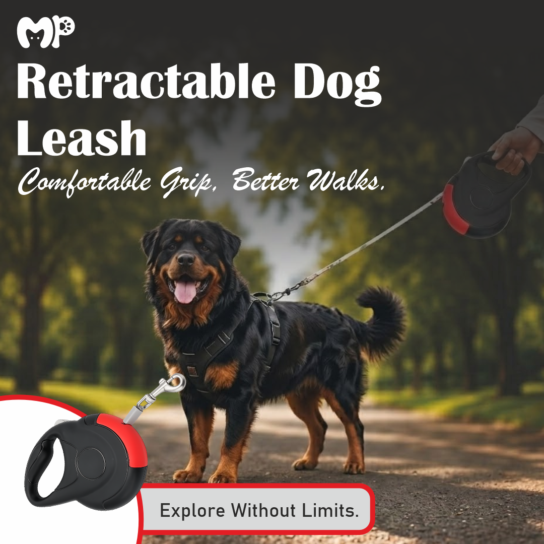 Premium Retractable Dog Leash with One-Touch Braking Mechanics | Dual-Action Spring Traction & Lock Extension Lead for Small to Medium Dogs (3-Meter)