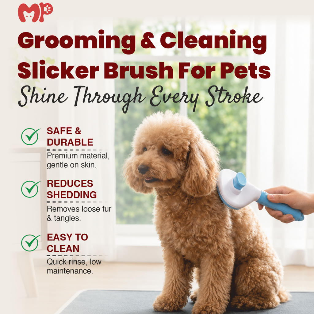 Premium Self-Cleaning Slicker Brush for Dogs and Cats | Professional Pet Grooming & De-shedding Tool with Massage Bristles and One-Click Fur Release Button | Available in Round and Square Shapes