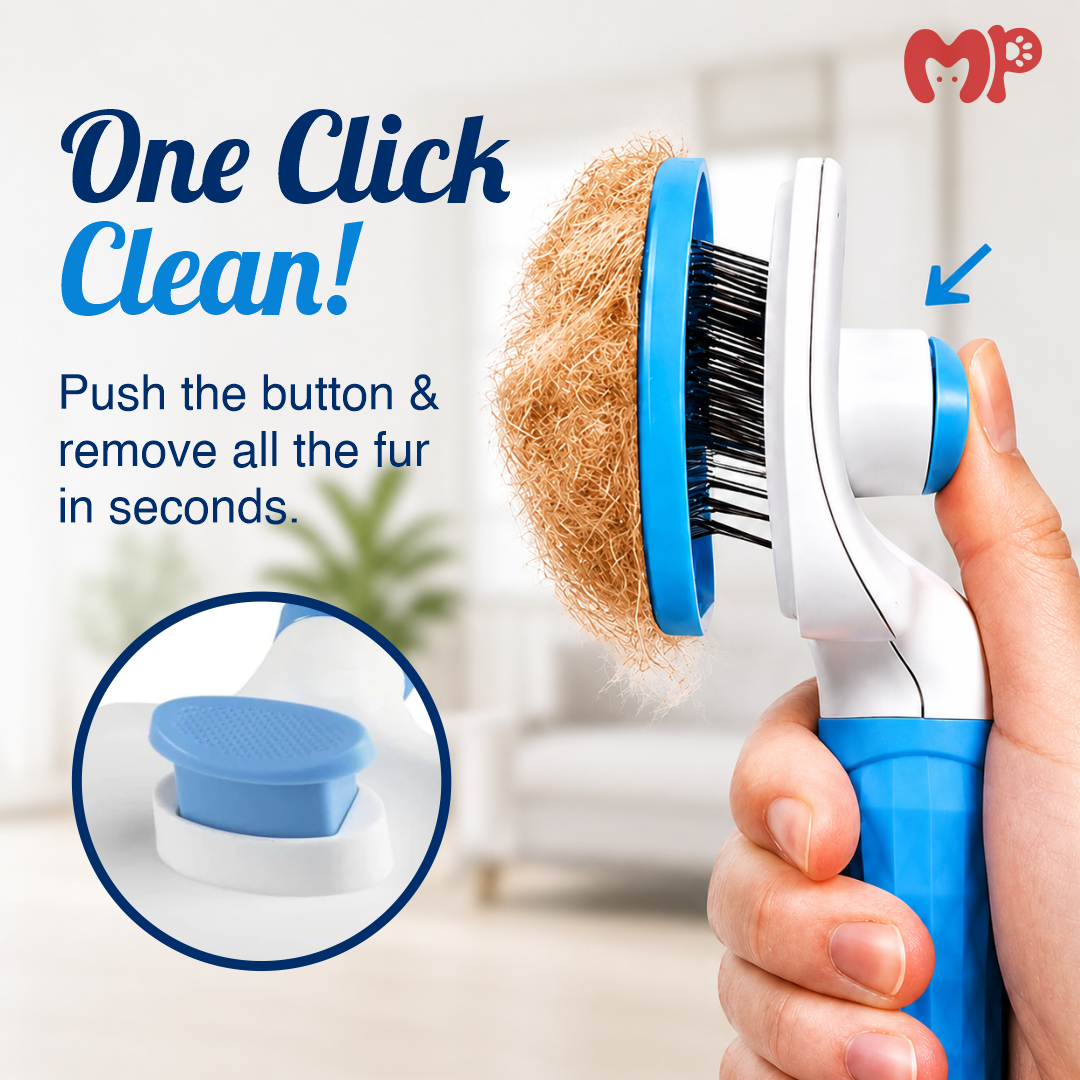 Premium Self-Cleaning Slicker Brush for Dogs and Cats | Professional Pet Grooming & De-shedding Tool with Massage Bristles and One-Click Fur Release Button | Available in Round and Square Shapes