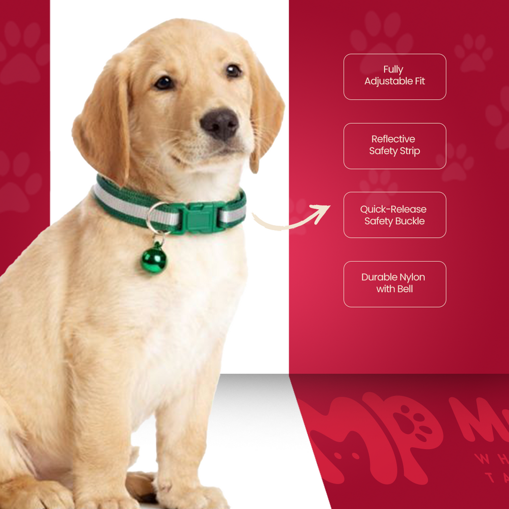 Dog & Puppy Collar With Bell - Adjustable | Reflector