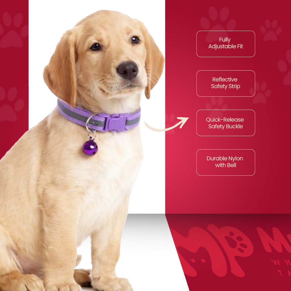 Dog & Puppy Collar With Bell - Adjustable | Reflector