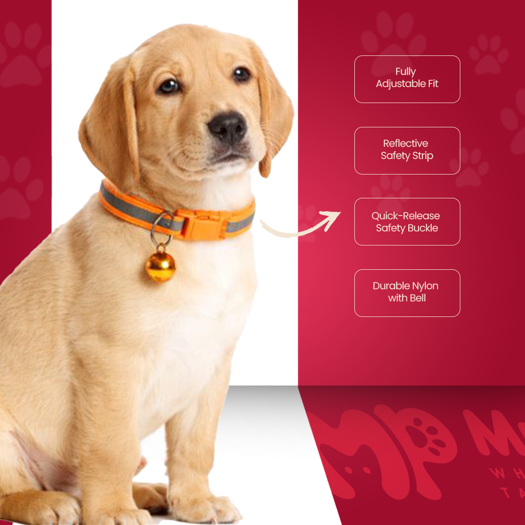 Dog & Puppy Collar With Bell - Adjustable | Reflector