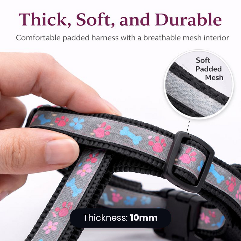 Reflective Harness Set 10mm - For Cats & Kittens