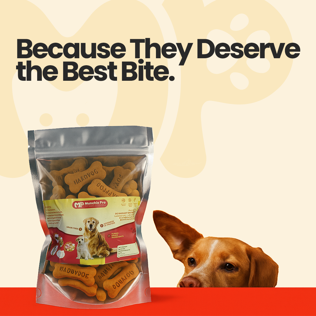 Brown Biscuits For Dog