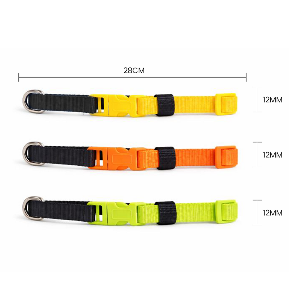 Colorful Collar for Puppy 12mm