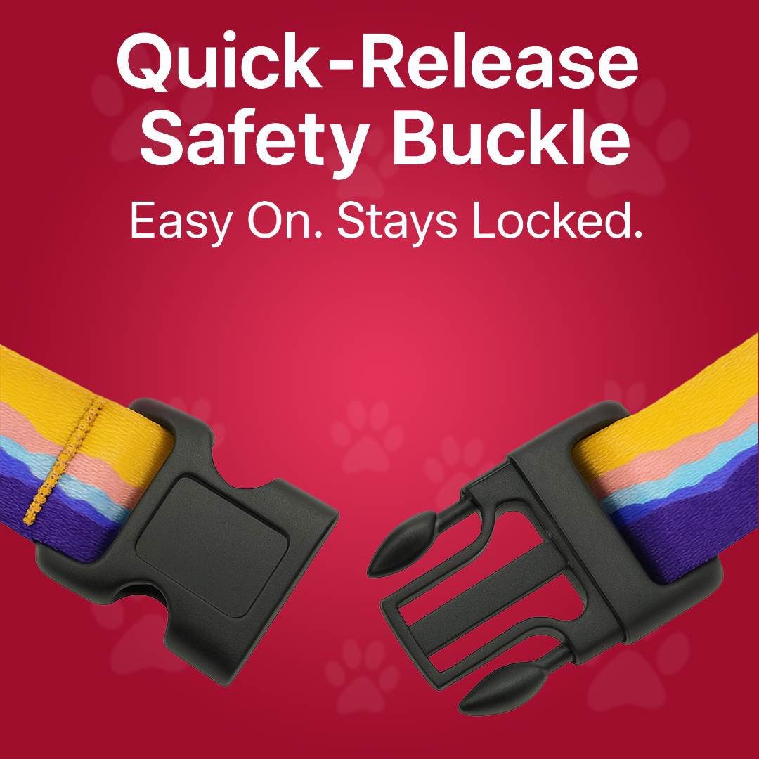 Printed Dog Leash & Collar Set 1.0 inch