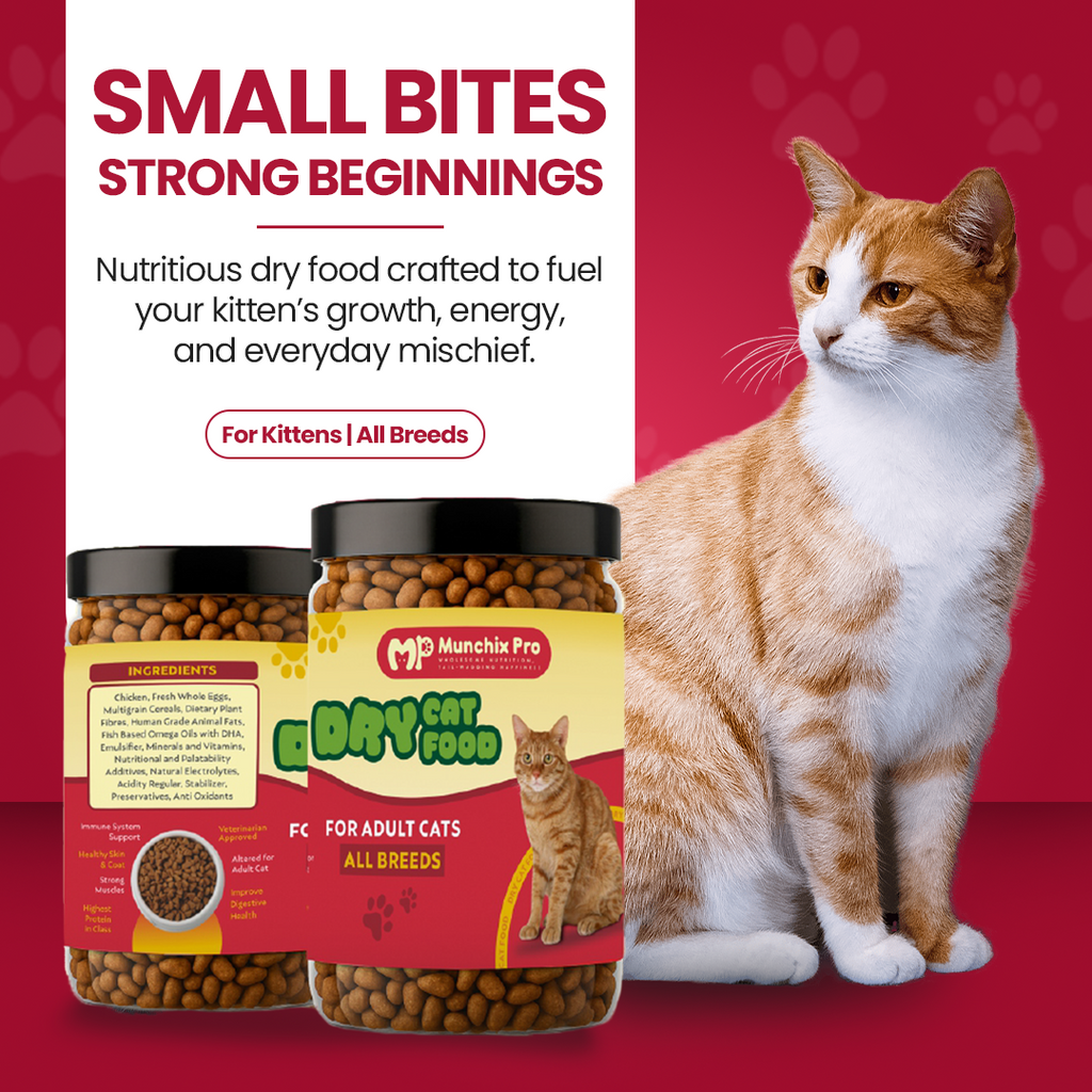 Adult Cat Food - Munchix Pro 500gm