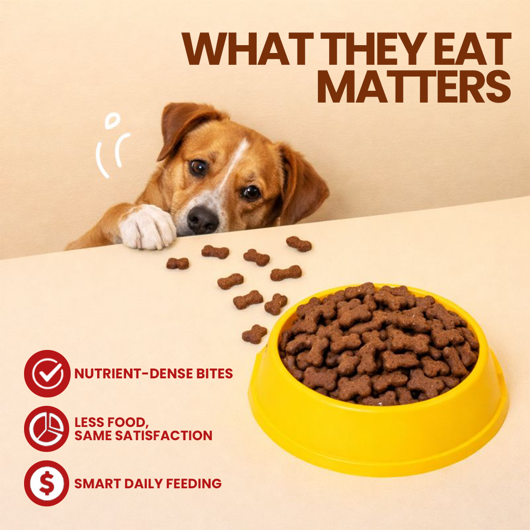 Brown Biscuits For Dog Small Size