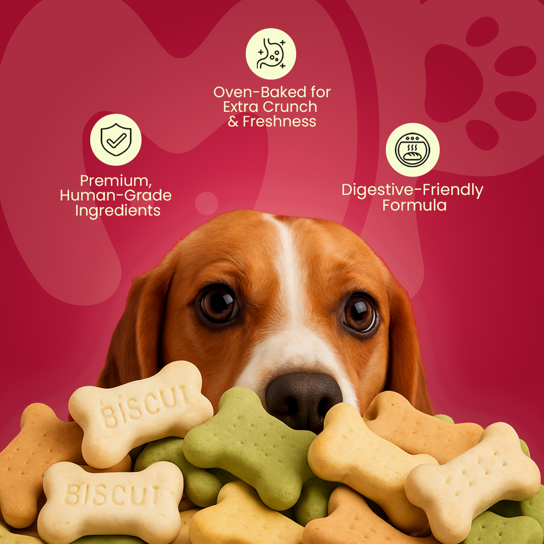 Mix Biscuits For Dogs | Big Size