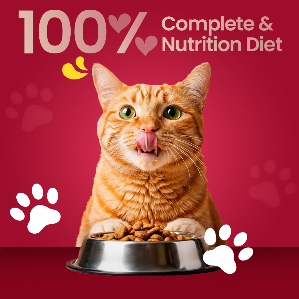 Adult Cat Food - Munchix Pro 500gm