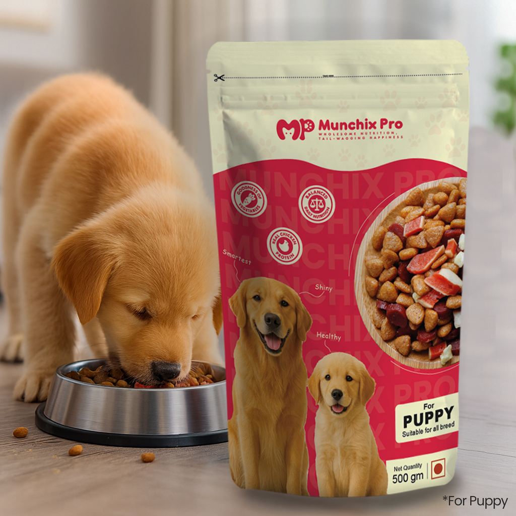 Puppy Starter Dry Dog Food Munchix Pro
