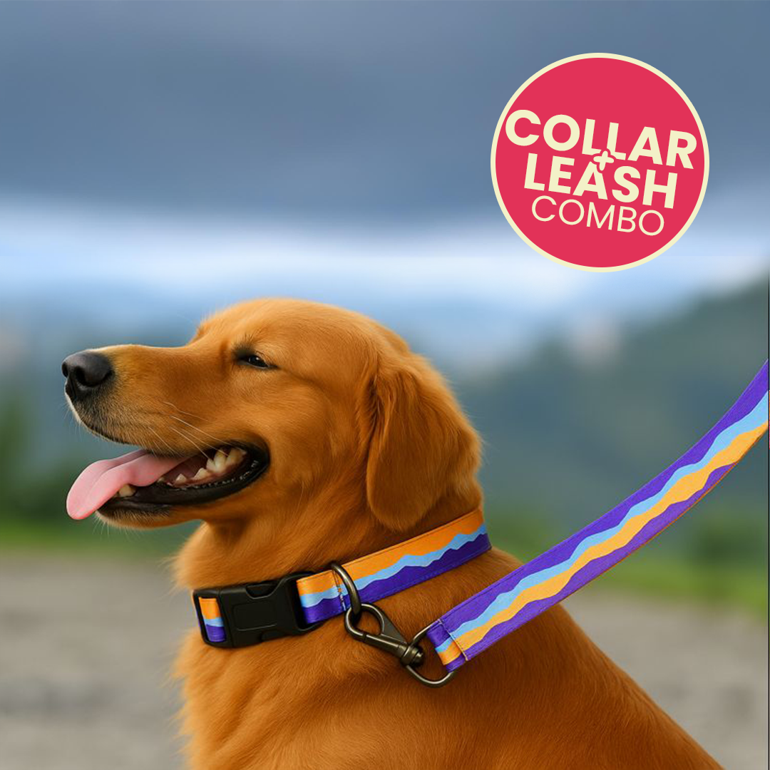 Printed Dog Leash & Collar Set 1.0 inch