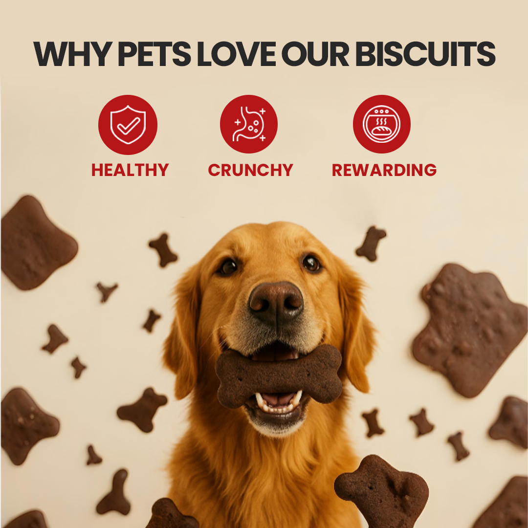 Brown Biscuits For Dog