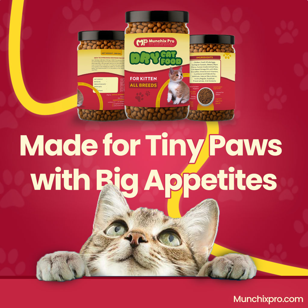 Kitten Food by Munchix Pro 500gm