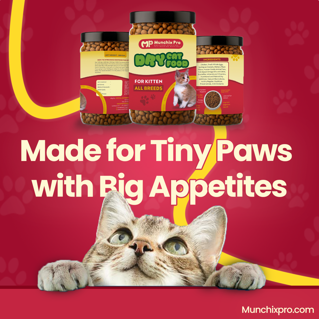 Kitten Food by Munchix Pro 500gm