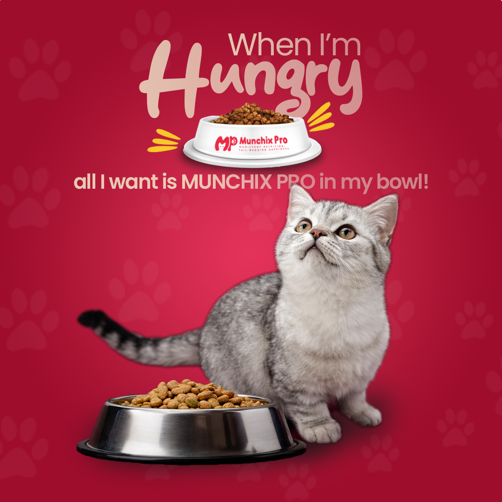 Adult Cat Food - Munchix Pro 500gm