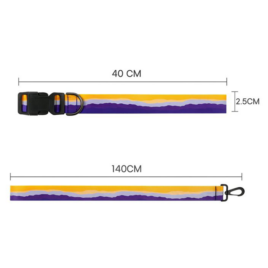 Printed Dog Leash & Collar Set 1.0 inch