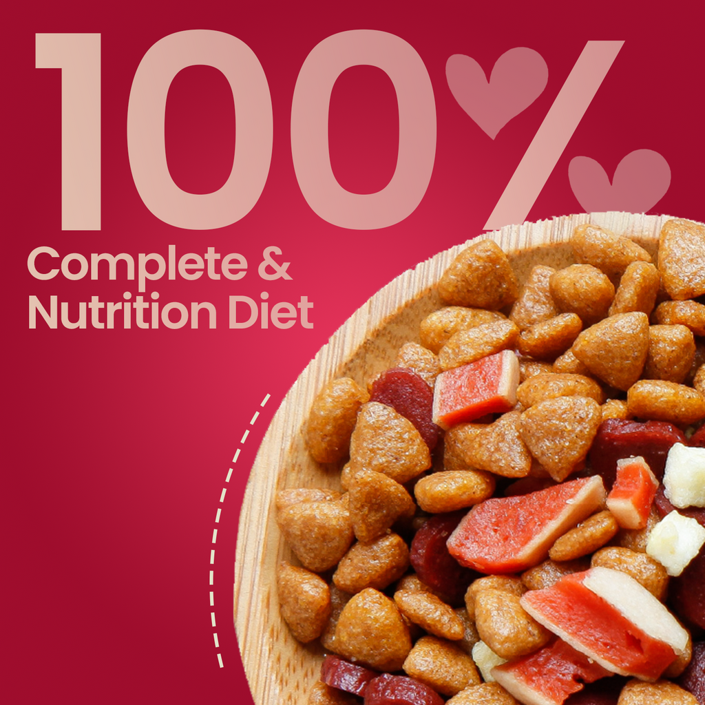 Puppy Starter Dry Dog Food Munchix Pro