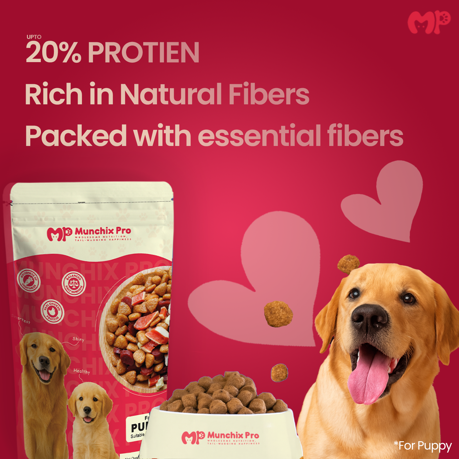 Puppy Starter Dry Dog Food Munchix Pro