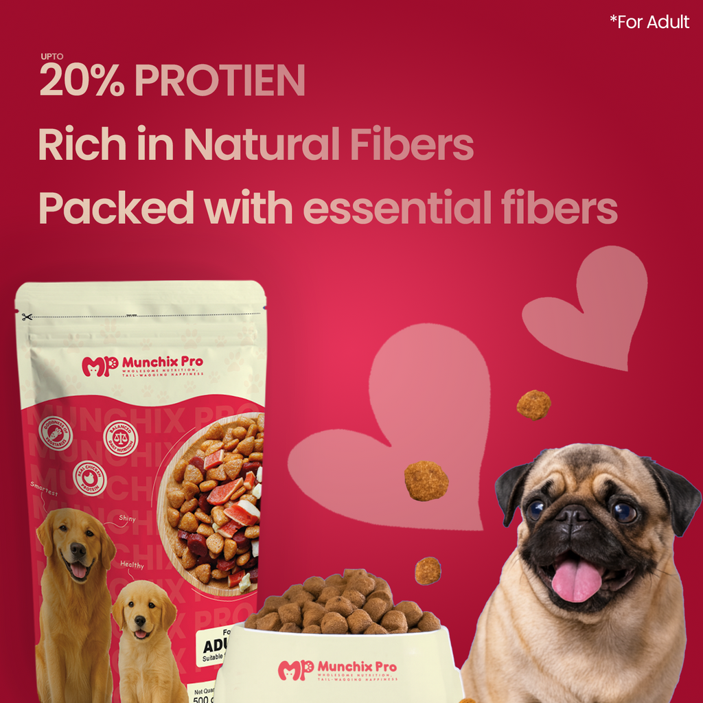 Adult Dog Food - Munchix Pro