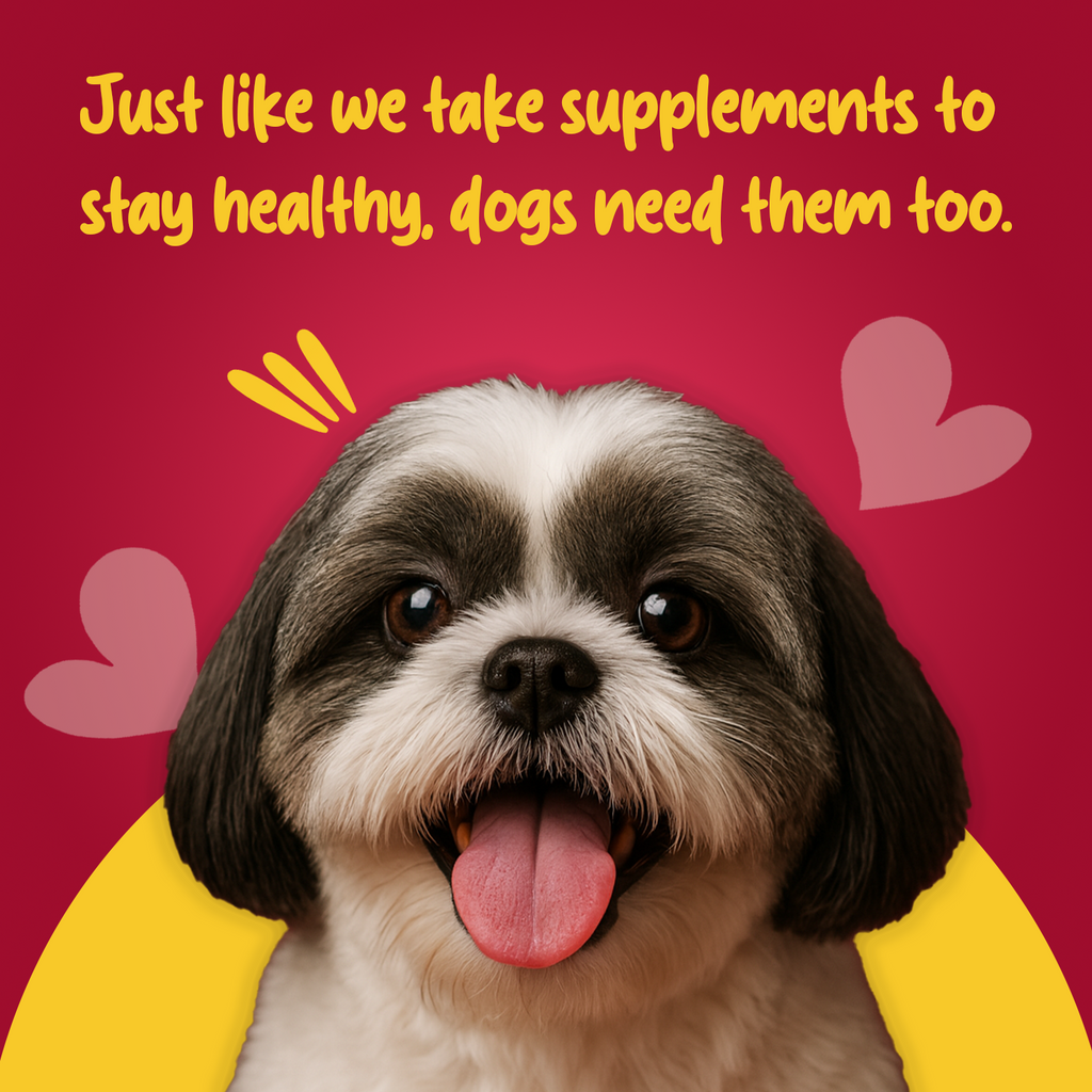 Adult Dog Food - Munchix Pro