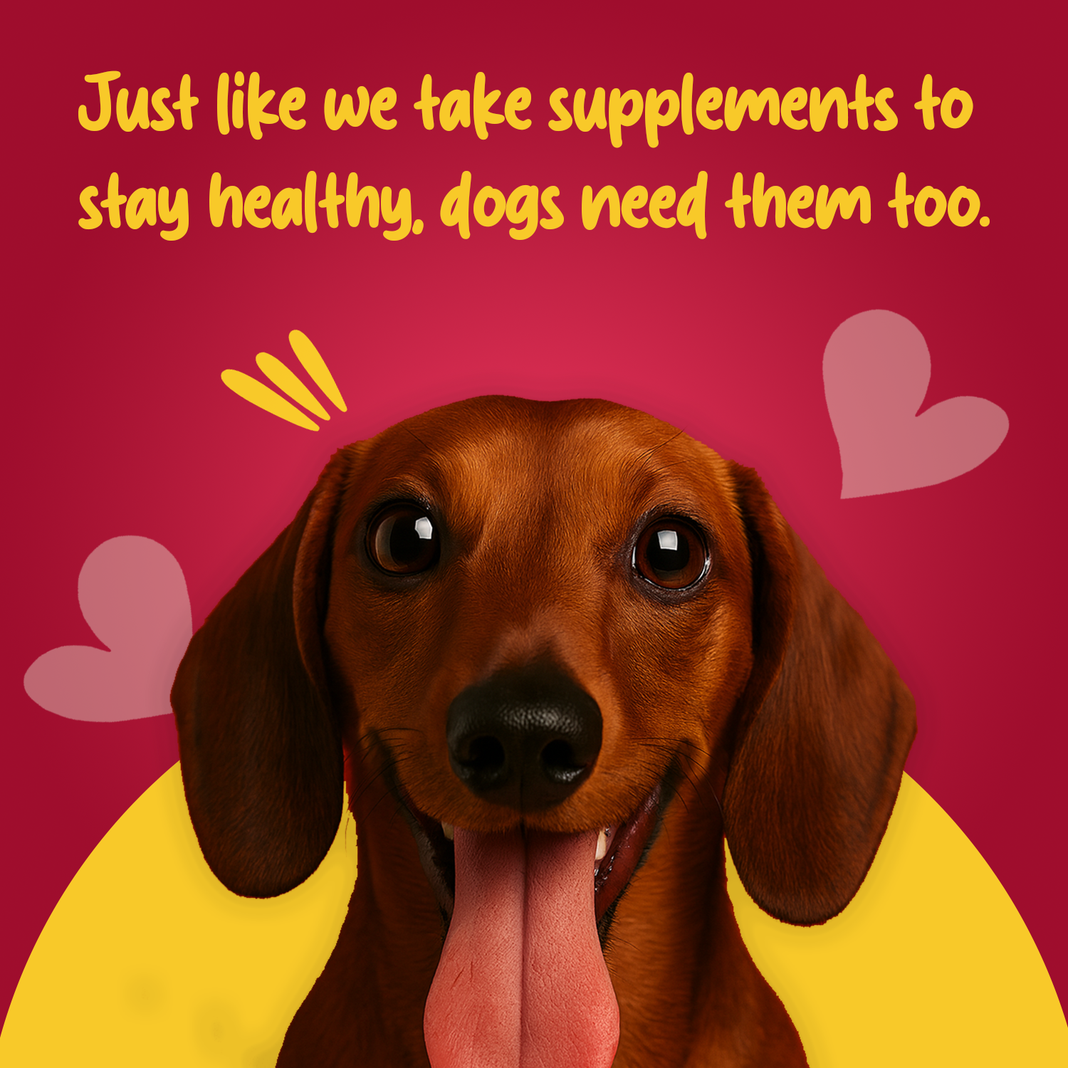 Puppy Starter Dry Dog Food Munchix Pro