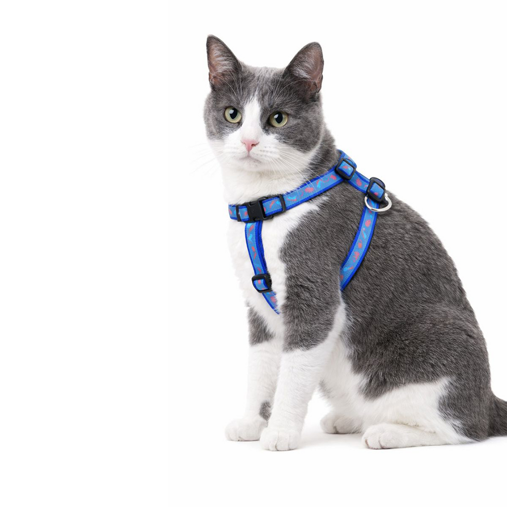 Reflective Harness Set 10mm - For Cats & Kittens