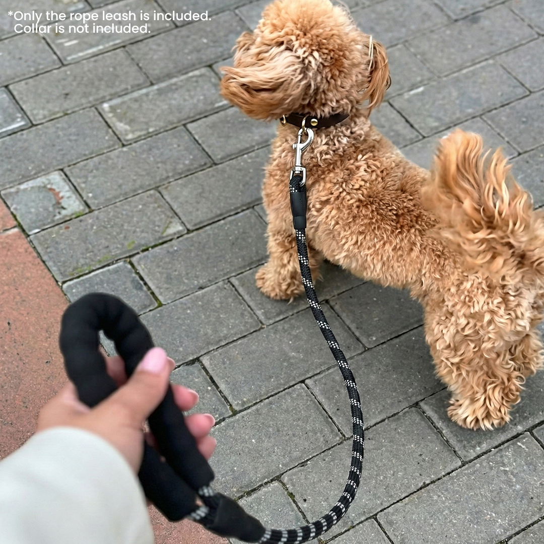 Premium Dog Leash Rope With Grip 12mm