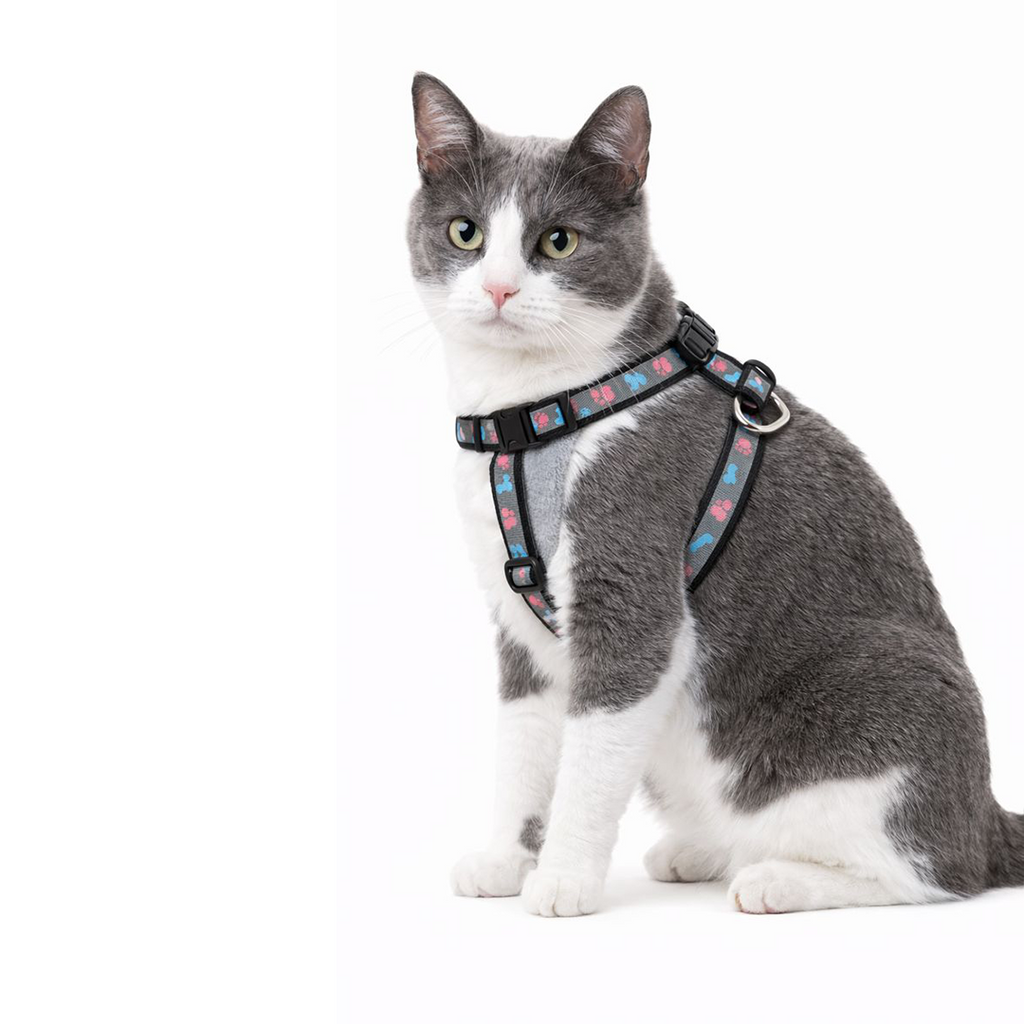 Reflective Harness Set 10mm - For Cats & Kittens