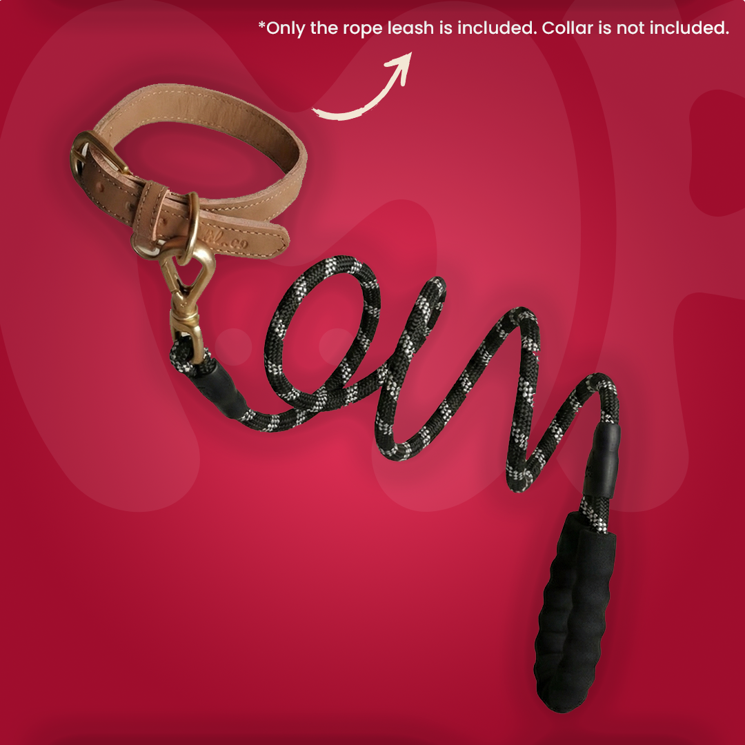 Premium Dog Leash Rope With Grip 12mm